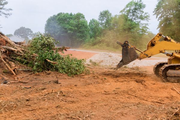 Cost of Ground Clearing in Snohomish