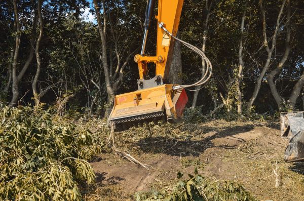 Cost of Brush Removal Service in Snohomish