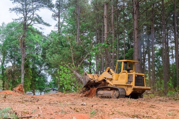 Cost of Property Clearing in Snohomish