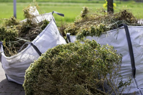 Cost of Bushes Clearing in Snohomish