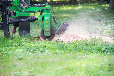 Stump Removal and Ground Leveling